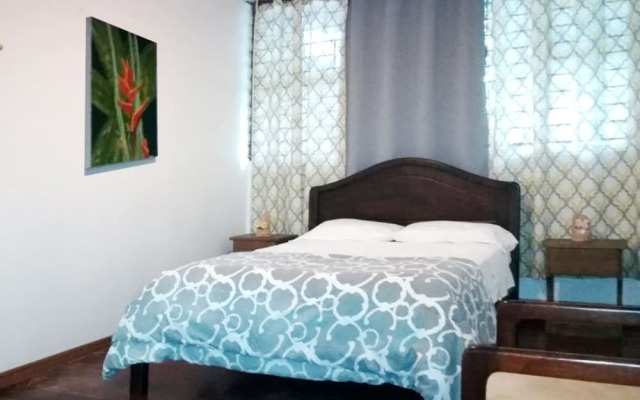 Gaudys Backpackers - Hostel