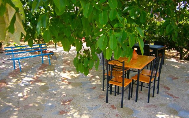 Bed and Breakfast L' Aranciera