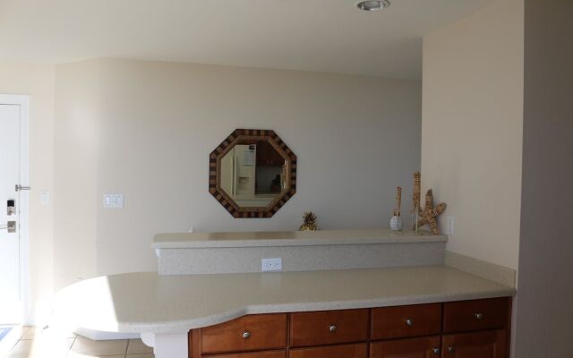 Emerald Dolphin by Surfside VR