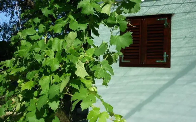 Nature Apartment in Split