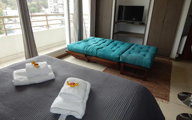 811A Departamento Plaza Vina