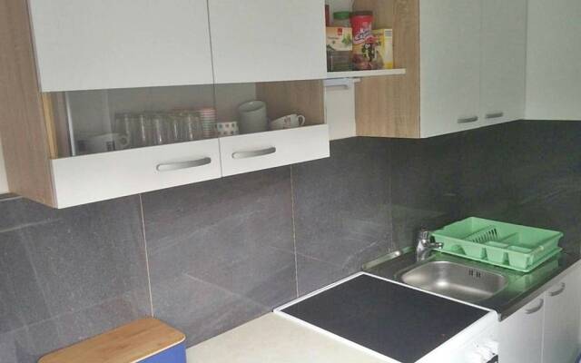 Apartment Damjan