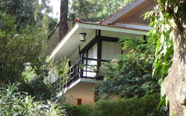 Hotel Jacarandas