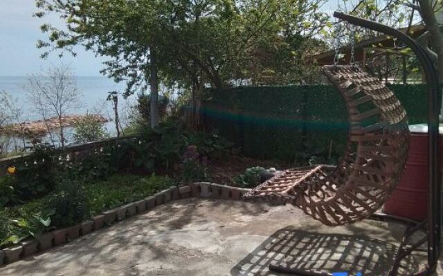 Seaside mansion with detached garden