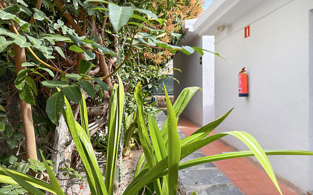 Laguna Apartments