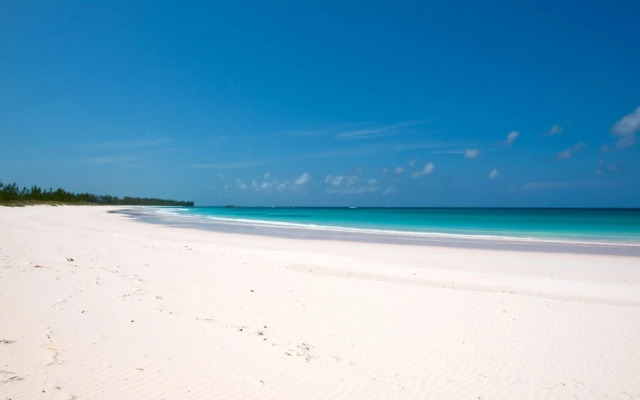 French Leave South Beach Compound