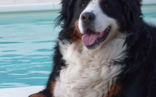 B&B Festival au calme ST DIDIER