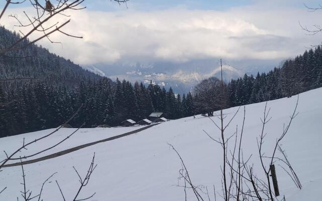 Panorama, Appartement 34, Torgon Schweiz