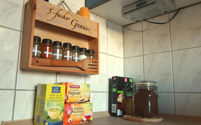 Whg./flat am Großen Garten in Dresden