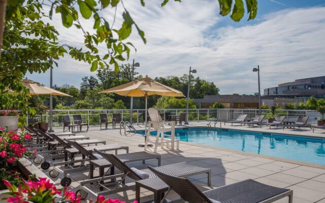 Courtyard by Marriott Bethesda/Chevy Chase