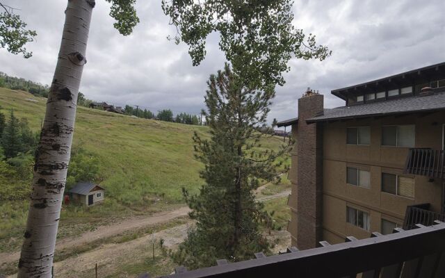 Storm Meadows East Slopeside - SE056