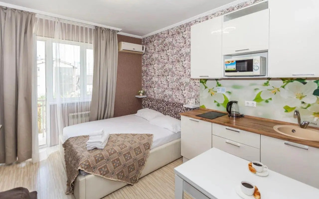 Apartments on Ruzheynaya d 39