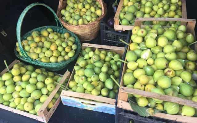 B&B Il Giardino di Nonno Agostino