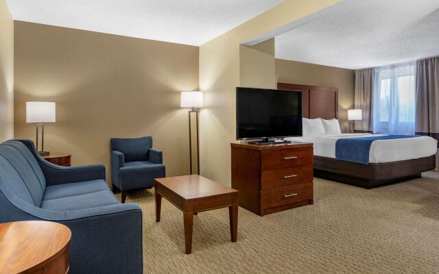 Comfort Inn Near Greenfield Village