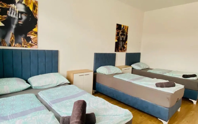 Spacious 4BR for 15 & 15 Min to Danube