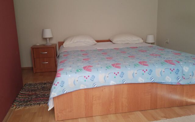 Apartment Damir - big apartment A1-donji veliki Nin, Zadar riviera