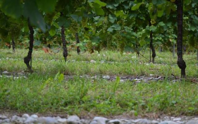 Agriturismo Quinta della Luna