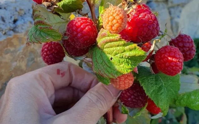 Residenza Villa Genua