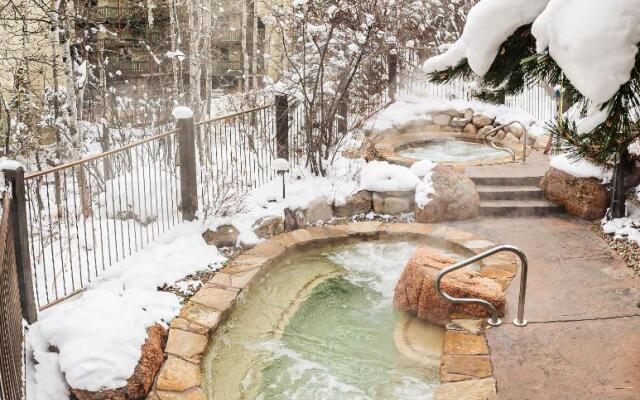 Laurelwood Condominiums Studio Premier Unit 207