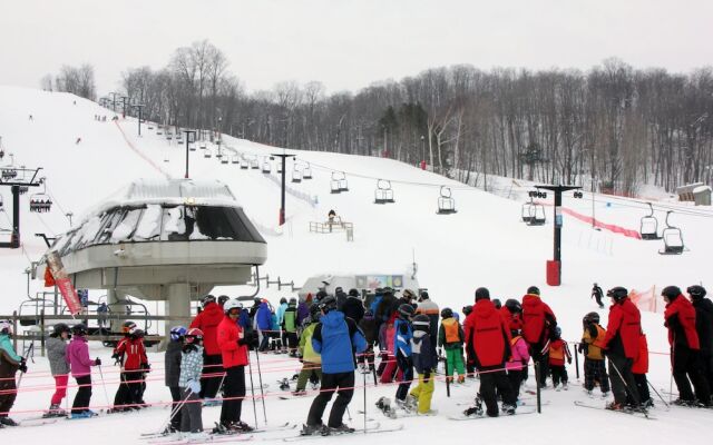 Holiday Inn Express & Suites Collingwood