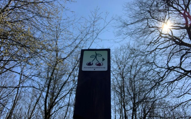 Hen Coop in Complete House Mit Optionaler Sauna