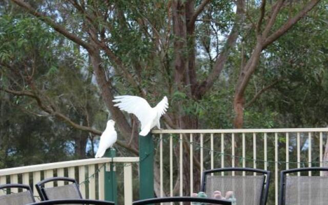 Blue Gum Cottage on Bay