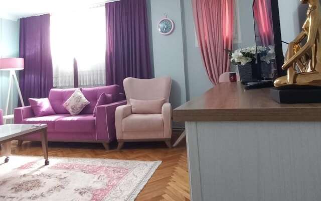 Grand Appartement 2-1