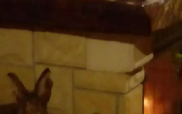 Góralska Czarcia Chata pod Jałowcem