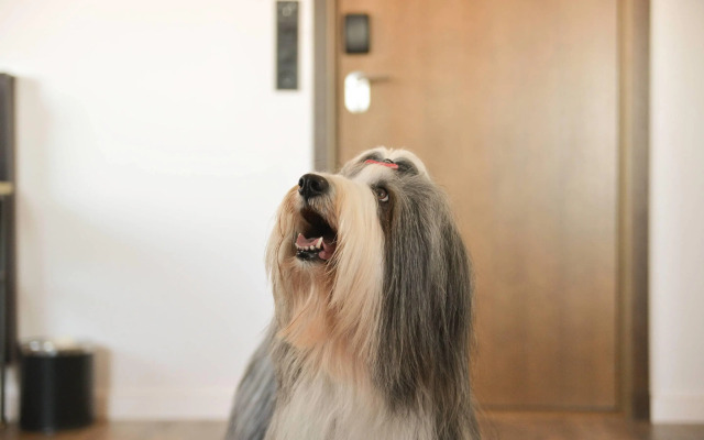 Quality Hotel the Mill