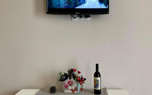 Bakuriani Plaza A113