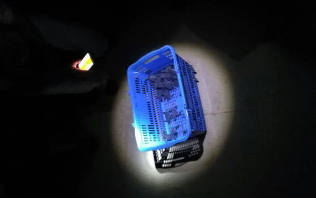 山打根灵岸龟岛酒店(Selingan Turtle Island Resort Sandakan)