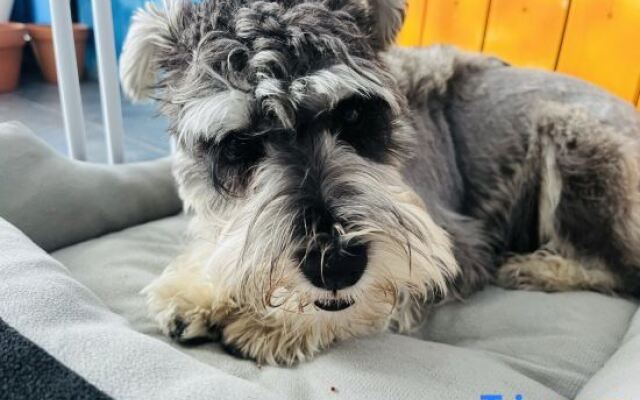 Shengsi Wolfberry Island Occasion Inn