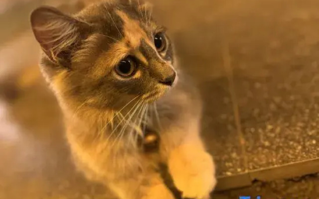 Weizhou Island Township Accommodation