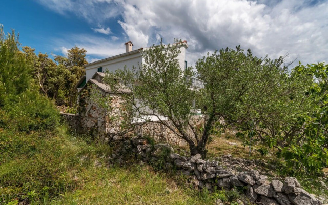 Casa Verde Apartment House