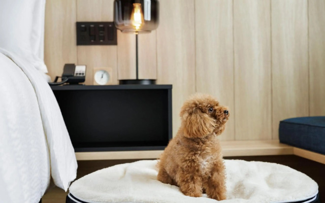 Fairfield by Marriott Gifu Seiryu Satoyama Park