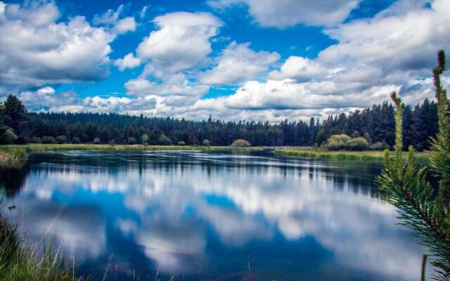 Duck Pond 11
