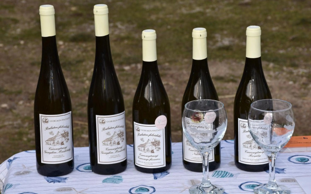 Pilikán Apartments - Park - Vineyard & Sheep farm