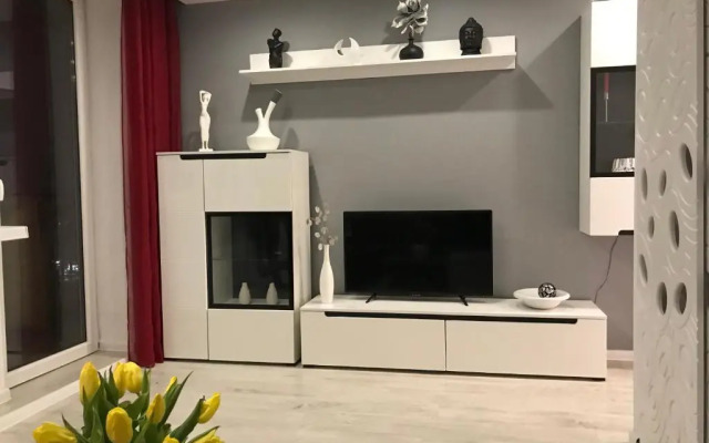 Comfortable Apartament