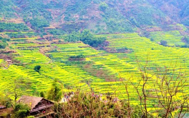 Wuyuan Linxi Youke Homestay (Guling Scenic Area)