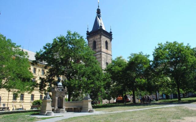 Hostel Kaktus