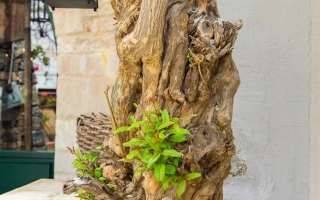 The Old Pomegranate House - Sea View - AC - Wifi - SAT TV