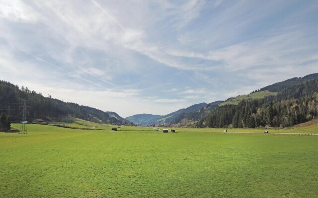 Awesome Apartment in Flachau With 2 Bedrooms and Wifi