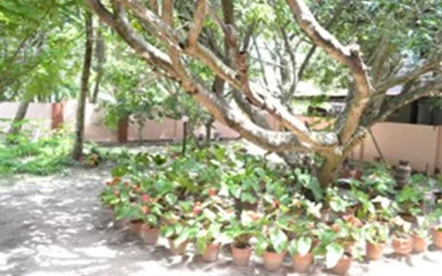 Tharavad Heritage Resort