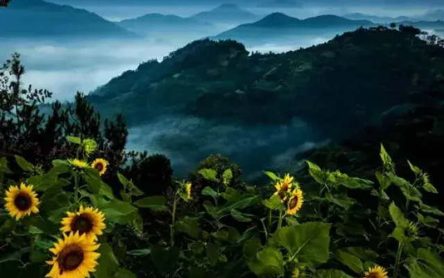 Atour Hotel (Huangshan Ancient Street, Xin'an Riverside)