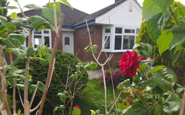 Pet Friendly - 2 Bedrooms - 4 Guests - Parking