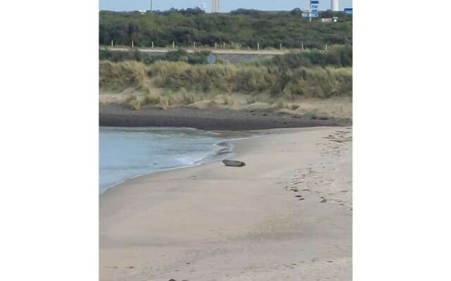 No Title Modern Retreat