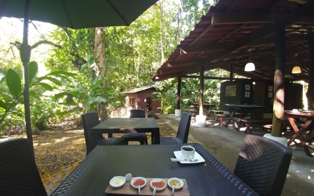 Selva Color Forest & Beach Ecolodge