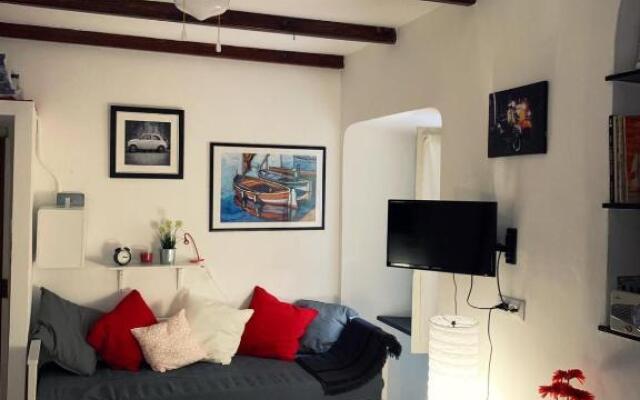 K & D Vegia Zena-Citra 0932-