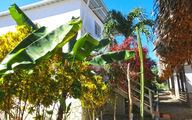 Sosua Adventure  Wellness