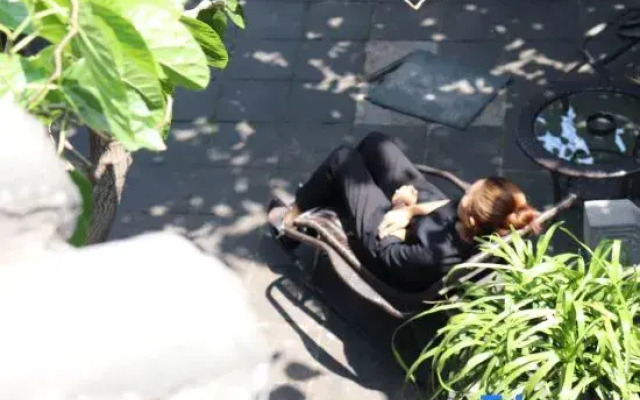 Elsewhere Hotel Inn North Street Branch